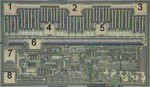 CS5205 DIE LAYOUT - MECHANICAL SPECIFICATIONS